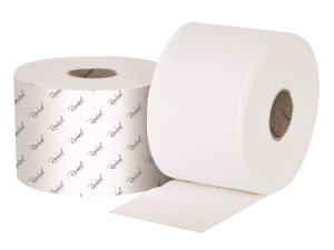 x24 RAPHAEL VERSATWIN RECYCLED T/ROLL 2PLY