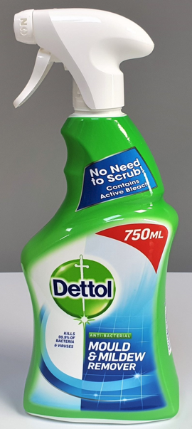 6x750ml DETTOL MOULD+MILDEW REMOVER