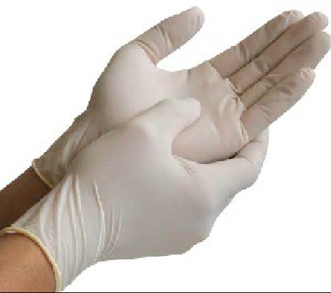 BOX* x100 GD05 XLRG LATEX PWD/FREE GLOVES
